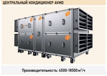 AVMD